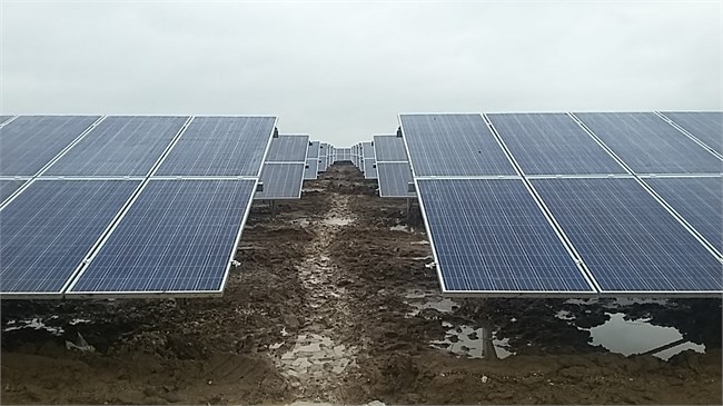 CODFORD SOLAR FARM